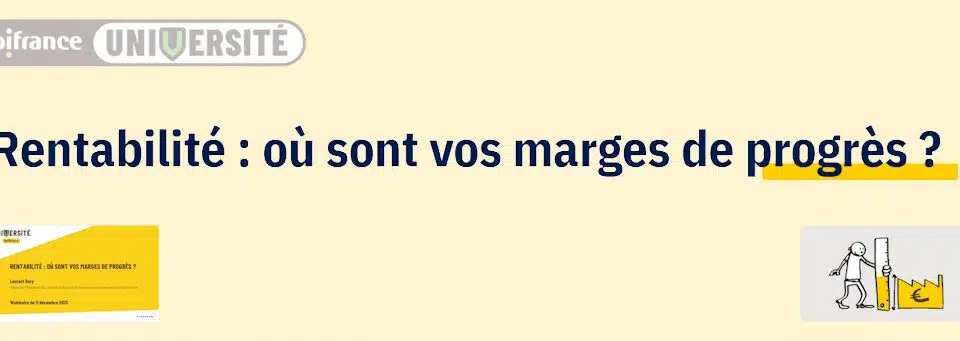 Rentabilité : où sont vos marges de progrès ?